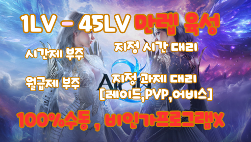 아이온2 1LV~45LV 만렙 육성 가격